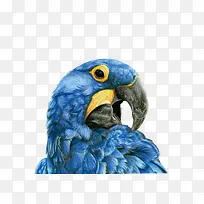 ʸ����ɫ����-������