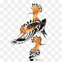 矢量橙色鸟-空若网 矢量橙色鸟-空若网