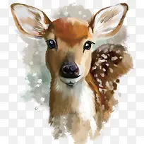 矢量水彩鹿-空若网 矢量水彩鹿-空若网
