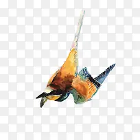 矢量水彩手绘鸟-空若网 矢量水彩手绘鸟-空若网