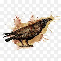 矢量水彩鸟-空若网 矢量水彩鸟-空若网