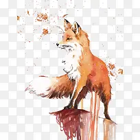 矢量狐狸-空若网 矢量狐狸-空若网