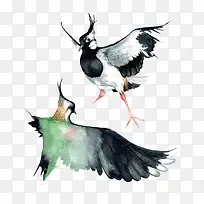 矢量两只鸟-空若网 矢量两只鸟-空若网