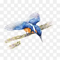 ʸ����ɫ��-������