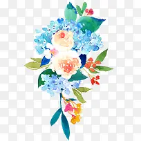 �ʻ�ֲ��-������