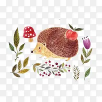 刺猬和植物-空若网 刺猬和植物-空若网