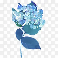 水彩植物-空若网 水彩植物-空若网