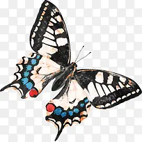 Êֻ滨ºûµû-¿ÕÈôÍø Êֻ滨ºûµû-¿ÕÈôÍø