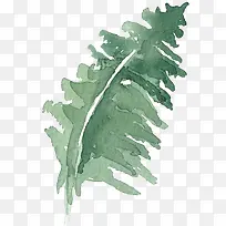 �ֻ�Ҷ��-������