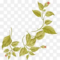 清新时尚叶子素材-空若网 清新时尚叶子素材-空若网