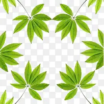 绿色背景-空若网 绿色背景-空若网