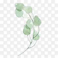 水彩叶子-空若网 水彩叶子-空若网