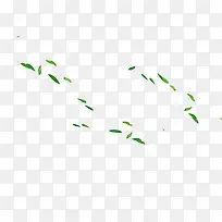 ��ɫҶ���ز�-������