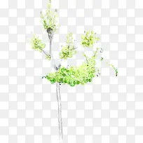 绿色清新叶子树-空若网 绿色清新叶子树-空若网