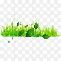 时尚环保绿色素材-空若网 时尚环保绿色素材-空若网