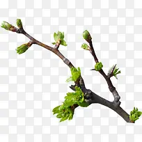 Ê÷Ñ¿-¿ÕÈôÍø Ê÷Ñ¿-¿ÕÈôÍø