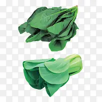 ��ɫ�߲�-������