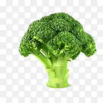 ʸ���߲�Ҷ-������