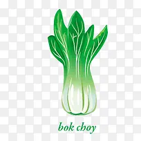 矢量绿色蔬菜叶-空若网 矢量绿色蔬菜叶-空若网