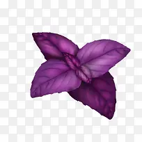 ʸ���Ȳ�Ҷ��-������