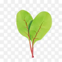 矢量绿色蔬菜叶-空若网 矢量绿色蔬菜叶-空若网