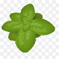 矢量绿色菜叶-空若网 矢量绿色菜叶-空若网