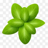 矢量绿色菜叶-空若网 矢量绿色菜叶-空若网