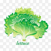 ʸÁ¿Éú²ËÒ¶-¿ÕÈôÍø ʸÁ¿Éú²ËÒ¶-¿ÕÈôÍø