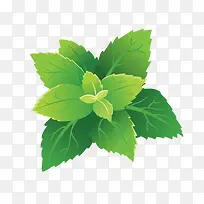 ʸ���Ȳ�Ҷ��-������