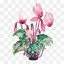 手绘插画-空若网 手绘插画-空若网