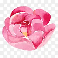 �ֻ滨��-������