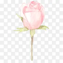 手绘花朵-空若网 手绘花朵-空若网