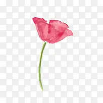 花朵手绘-空若网 花朵手绘-空若网