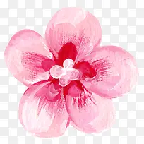 �ֻ滨��-������