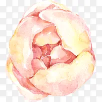 粉色水彩花朵-空若网 粉色水彩花朵-空若网