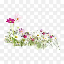 ��-������