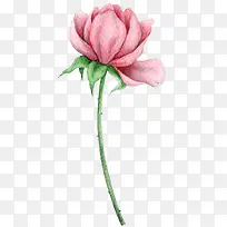 手绘花朵-空若网 手绘花朵-空若网