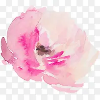 水彩花朵-空若网 水彩花朵-空若网