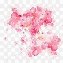 水彩花朵-空若网 水彩花朵-空若网