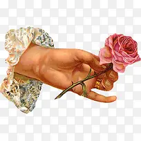 �ֻ滨��-������