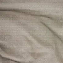 ����֯�ﱳ��-������