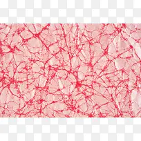 ֽ�ű���-������