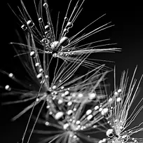 ¶Öé±³¾°µ×ÎÆ-¿ÕÈôÍø ¶Öé±³¾°µ×ÎÆ-¿ÕÈôÍø