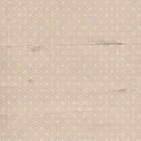 ����ֽ�ű���-������