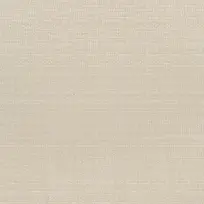 ���ɲ��Ʊ���-������