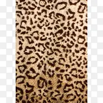 豹纹背景纹理-空若网 豹纹背景纹理-空若网