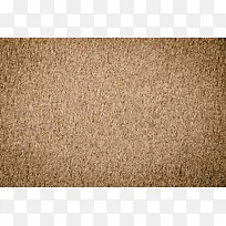 ֽ����������-������