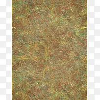 �����ʸйŵ䱳��-������