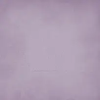 ֽ���������Ʊ���-������