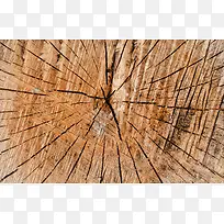 ľ�Ʊ�������-������